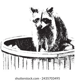 Ball point pen sketch of raccoon. raccoon vintage engraving. trash panda art.