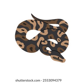 Ball python icon clipart avatar logotype isolated illustration