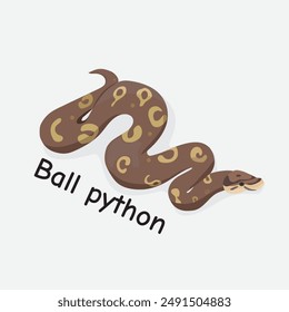 Ball Python Vector Illustration: Colorful Snake