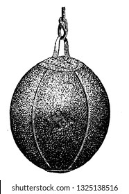 Un material en forma de bola con un solo bucle en ambos extremos que se sostiene mediante cadenas, ilustración de línea grabada vintage. Accesorios para bicicletas - 1900