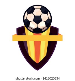 ball sport emblem vector ilustration