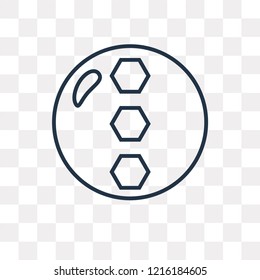 Ball vector outline icon isolated on transparent background, high quality linear Ball transparency concept can be used web and mobile