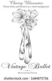 Ballerina Pointe shoes hanging on a branch of cherry blossoms.
Design for a postcard, poster, or banner. Illustration in the style of an old engraving
with the inscription. Stock vector.
