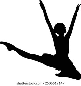 Ballerina Silhouette - Elegant Ballerina Dance Silhouette Artwork	
