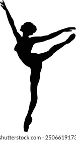 Ballerina Silhouette - Elegant Ballerina Dance Silhouette Artwork	
