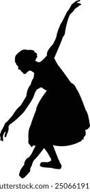 Ballerina Silhouette - Elegant Ballerina Dance Silhouette Artwork	
