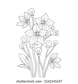 balloon flower coloring page line art with blooming petals and leaves illustration
