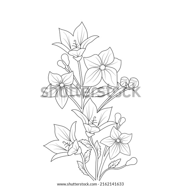 balloon flower coloring page line art with\
blooming petals and leaves\
illustration
