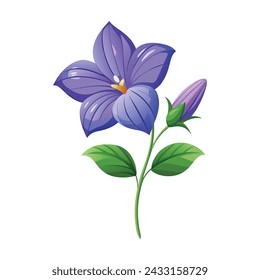 Balloon Flower Illustration on White Background