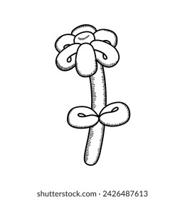 Balloon Flower. Balloon Flower Linear Icon. Hand drawn Flower. Design element for coloring books, prints, cards, invitations. Vector illustration in outline style