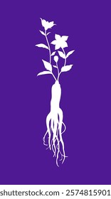 Balloon Flower and Root, bellflower Duo-tone Art Illustration Vector.