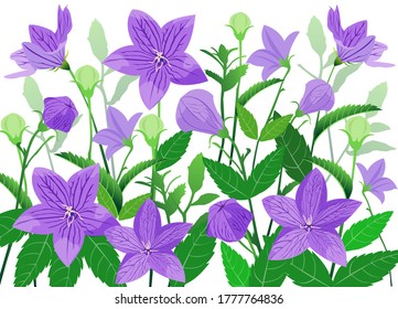 Balloon Flower Seamless Pattern Vector Illustration 