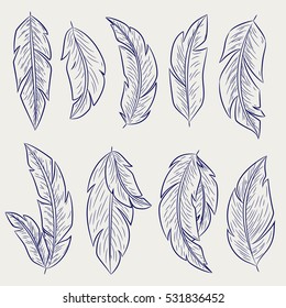 Ballpoint pen feathers set design. Hand drawn feathers isolated collection. Bohemian style decorative objects set.