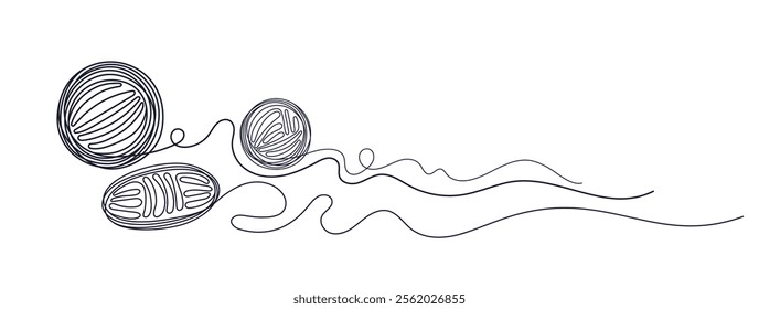 Balls of thread. Round skein of knitting. Vector line simple horizontal composition. Crafting hand hobby. Editable contour. Sketch for handmade print. Merino, wool for knit needles, cotton, linen.