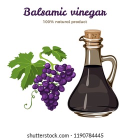 Balsamic vinegar in glass bottle, bunch of dark grapes isolated on white background. Vector illustration of  traditional Italian seasoning in cartoon flat style.