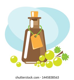 Balsamic vinegar with green grape. Design elements for leaflet, booklet or sticker. Harvest symbol. Ingredients for cooking, baking, salad dressing and preservation.