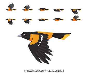 Baltimore Oriole Flying Animation Cute Cartoon Vector Illustration