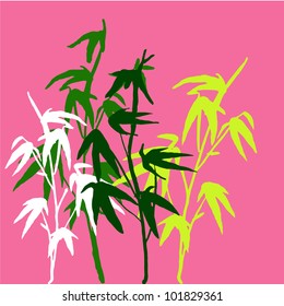 bamboo