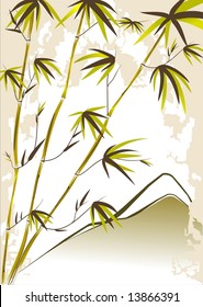 Bamboo