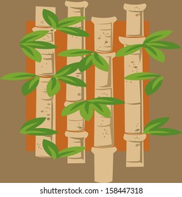 bamboo 