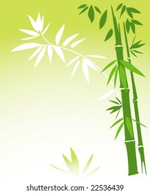 bamboo