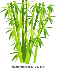 bamboo