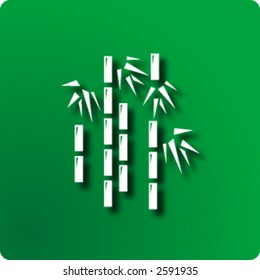 Bamboo
