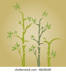 Bamboo