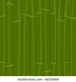 Bamboo