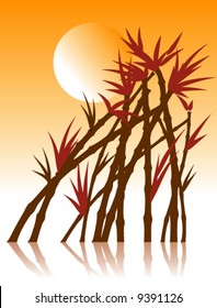 Bamboo