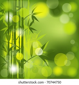 Bamboo abstract background, vector illustration, eps10