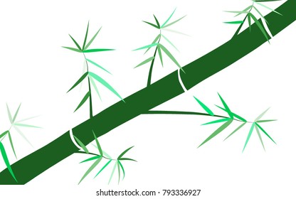 Bamboo. Abstract Pattern. Bamboo Pattern for Postcard, Banner, Wallpaper, Textile, Card, Illustration. Bamboo Background. Tree Texture in Asian Style. Abstract Background. Vector Illustration.