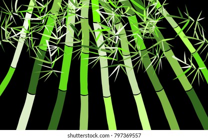Bamboo. Abstract Pattern. Bamboo Pattern for Postcard, Banner, Wallpaper, Textile, Card, Illustration. Bamboo Background. Tree Texture in Asian Style. Abstract Background. Vector Illustration.
