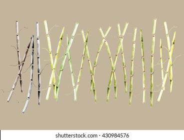 bamboo art brush design for object or background on green background, bamboo for spa or health concept.vector illustration