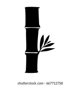 Bamboo asian tree