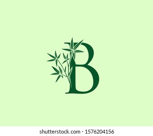 Bamboo B Letter logo icon design
