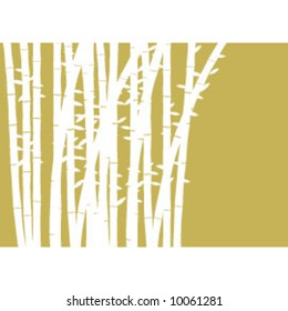 BAMBOO BACKGROUND