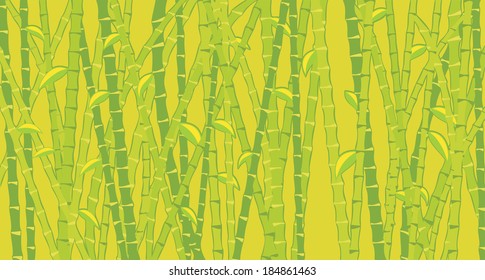 bamboo background