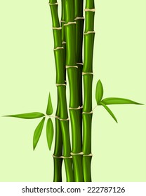 Bamboo background