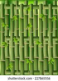 Bamboo background