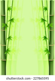Bamboo background