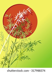 bamboo background