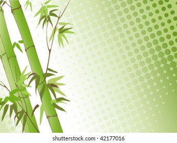 Bamboo background