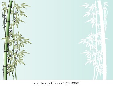 bamboo with background