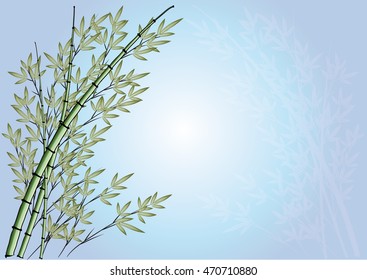 bamboo with background