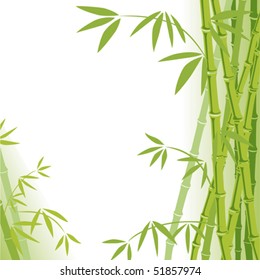 Bamboo background