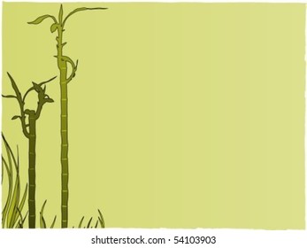 Bamboo background