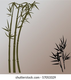 bamboo background