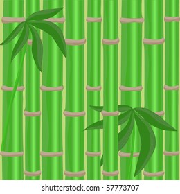 Bamboo background