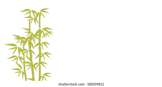 bamboo background